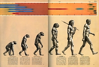 Missing Link Fehlt Immer Noch